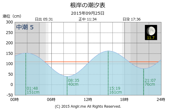 神奈川県 根岸のタイドグラフ