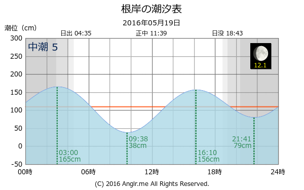 神奈川県 根岸のタイドグラフ