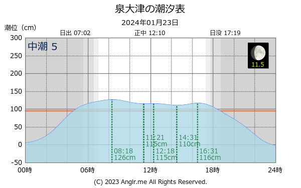 大阪府 泉大津のタイドグラフ