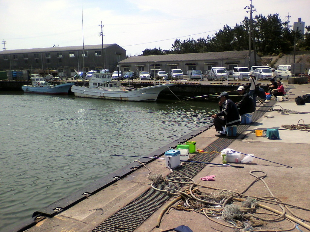 浜名湖網干し場横サビキ釣り Tsuさんの釣果報告 Anglr